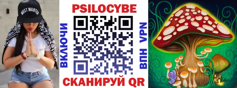 Купить закладки  Собинка  Псилоцибиновые грибы Psilocybine cubensis 